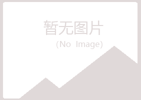 弓长岭区雪青材料有限公司